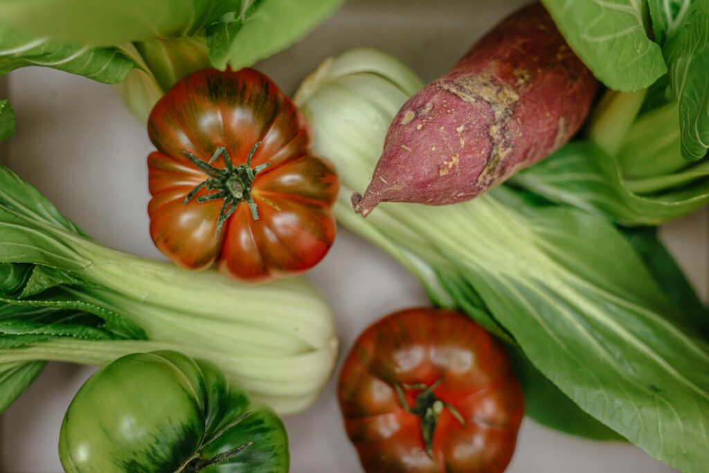 Plant a Sprouted Sweet Potato