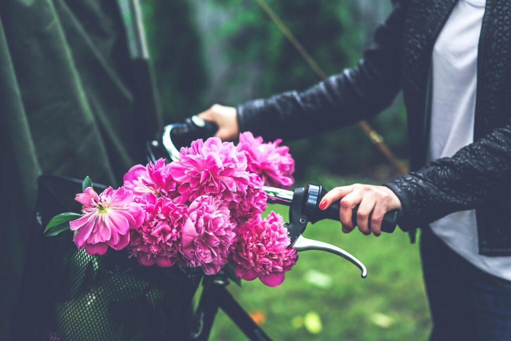 Growing Peonies from Seed