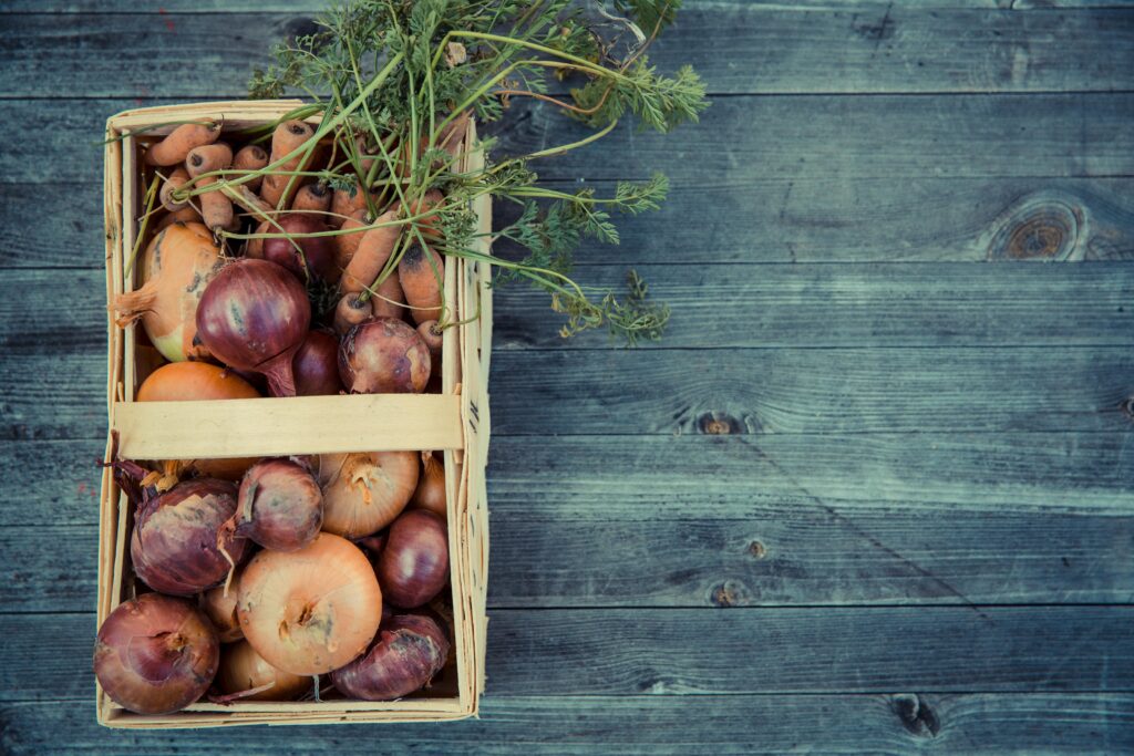 How to Grow Onions in Pots