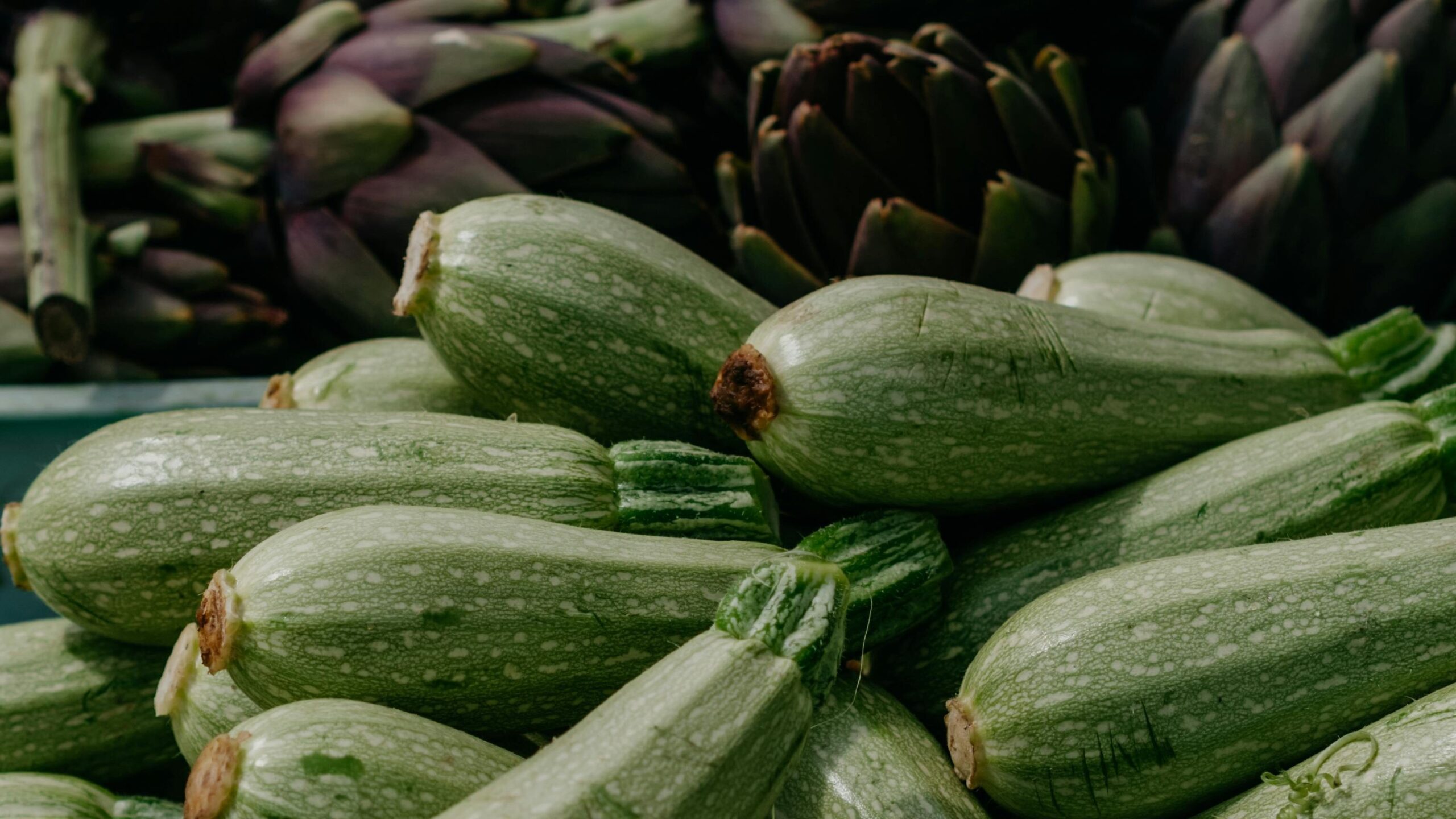 Plant Zucchini Seeds