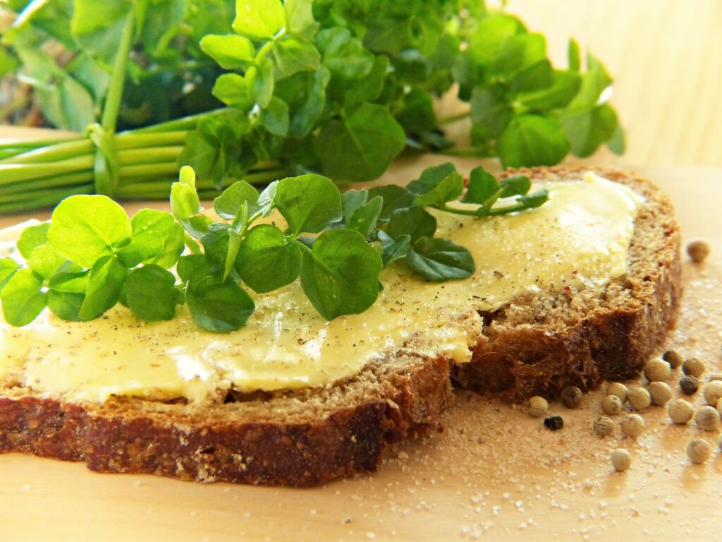 How to Grow Watercress