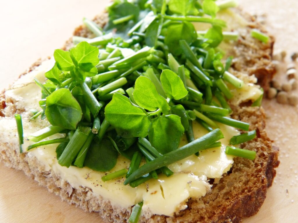 How to Grow Watercress