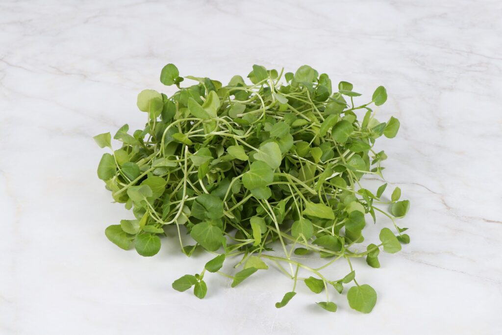 How to Grow Watercress