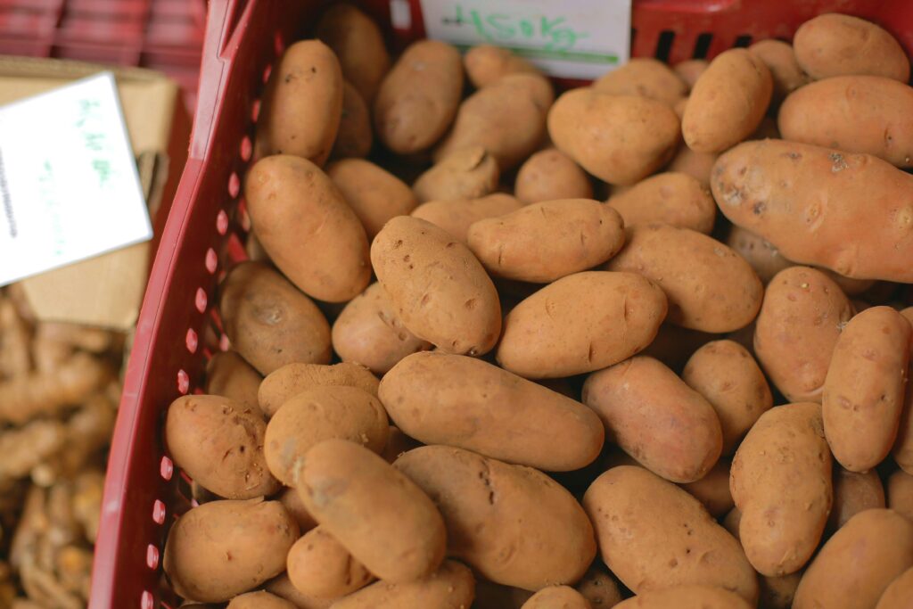 How to Grow Potatoes in a Container