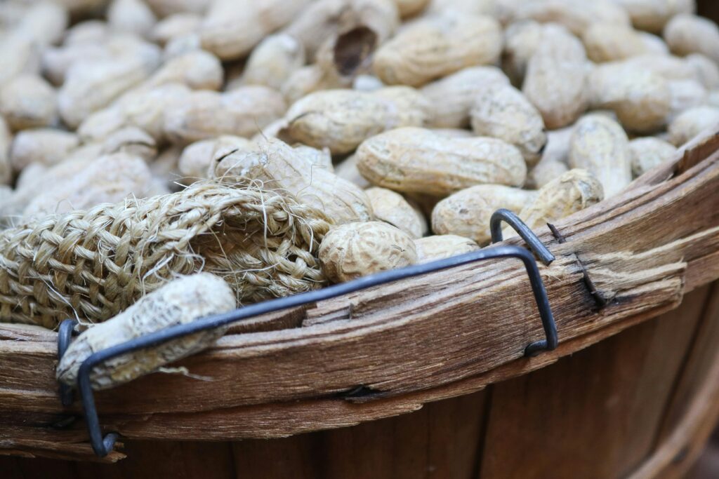 How to Grow Peanuts