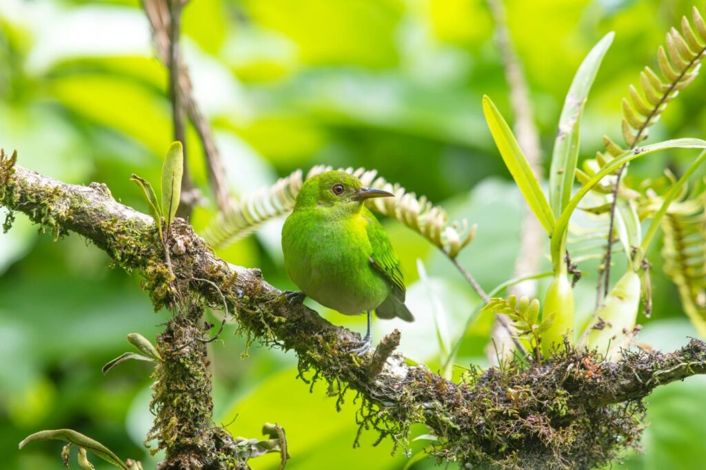 3 Types of Biodiversity